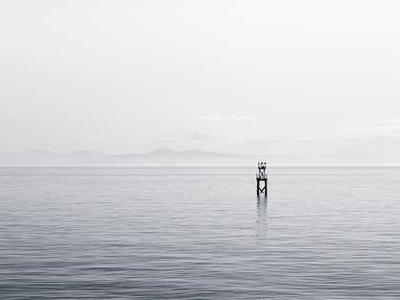 Scientists say this viral rosemary skincare trend actually works