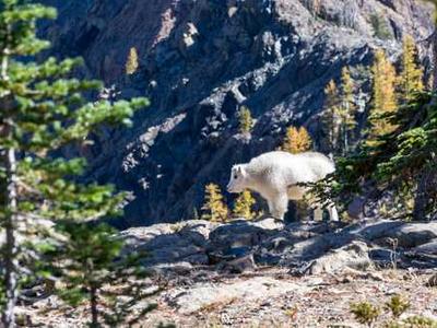 Apple TV details its 2026 streaming lineup with big list of announcements