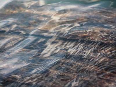 Letter From Minnesota: This is Actually What’s Great About America