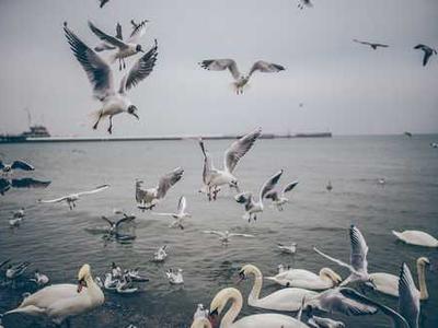 Google Cloud’s customer chief returns to Microsoft as head of security