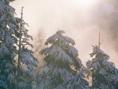 Toni Morrison, Dan Chiasson, Lily Meyer, and more: 24 new books out today!