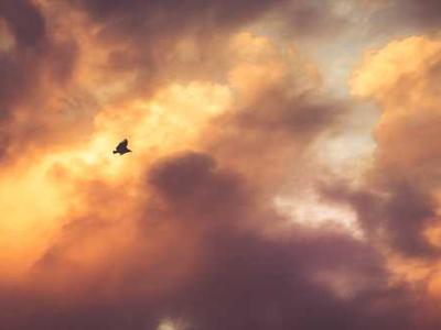 Google Cloud’s customer chief returns to Microsoft as head of security