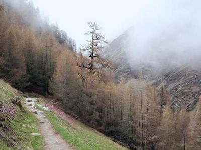 Letter From Minnesota: This is Actually What’s Great About America