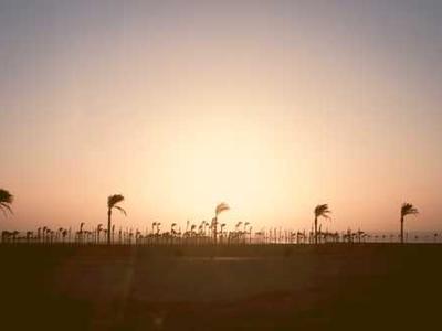 Borrowing From the Bard: A Shakespeare-Inspired Reading List