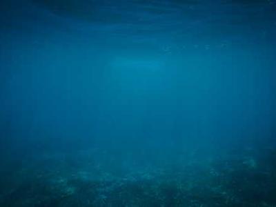 “[Speckled Yellow],” a Poem By Simon Armitage