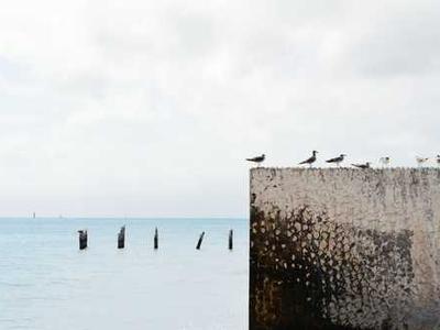 Google’s Pixel 10A will be revealed on February 18th