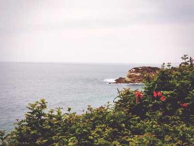 UniRG: Scaling medical imaging report generation with multimodal reinforcement learning