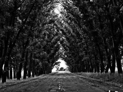 What some leaders think of using universal income to mitigate AI-fueled layoffs: Musk calls it the 