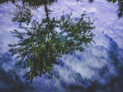 PlugMem: Transforming raw agent interactions into reusable knowledge