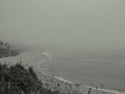 Light makes plants stronger but also holds them back