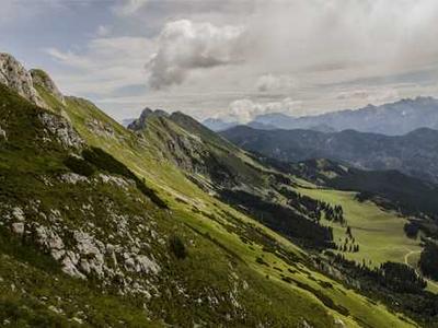 Scientists discover why bread can cause weight gain without extra calories