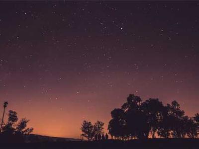 UniRG: Scaling medical imaging report generation with multimodal reinforcement learning