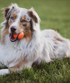 Olivia Cook